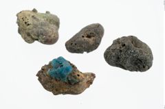 Foto von Glasaugenperle (NHMW-PRAE-026867)